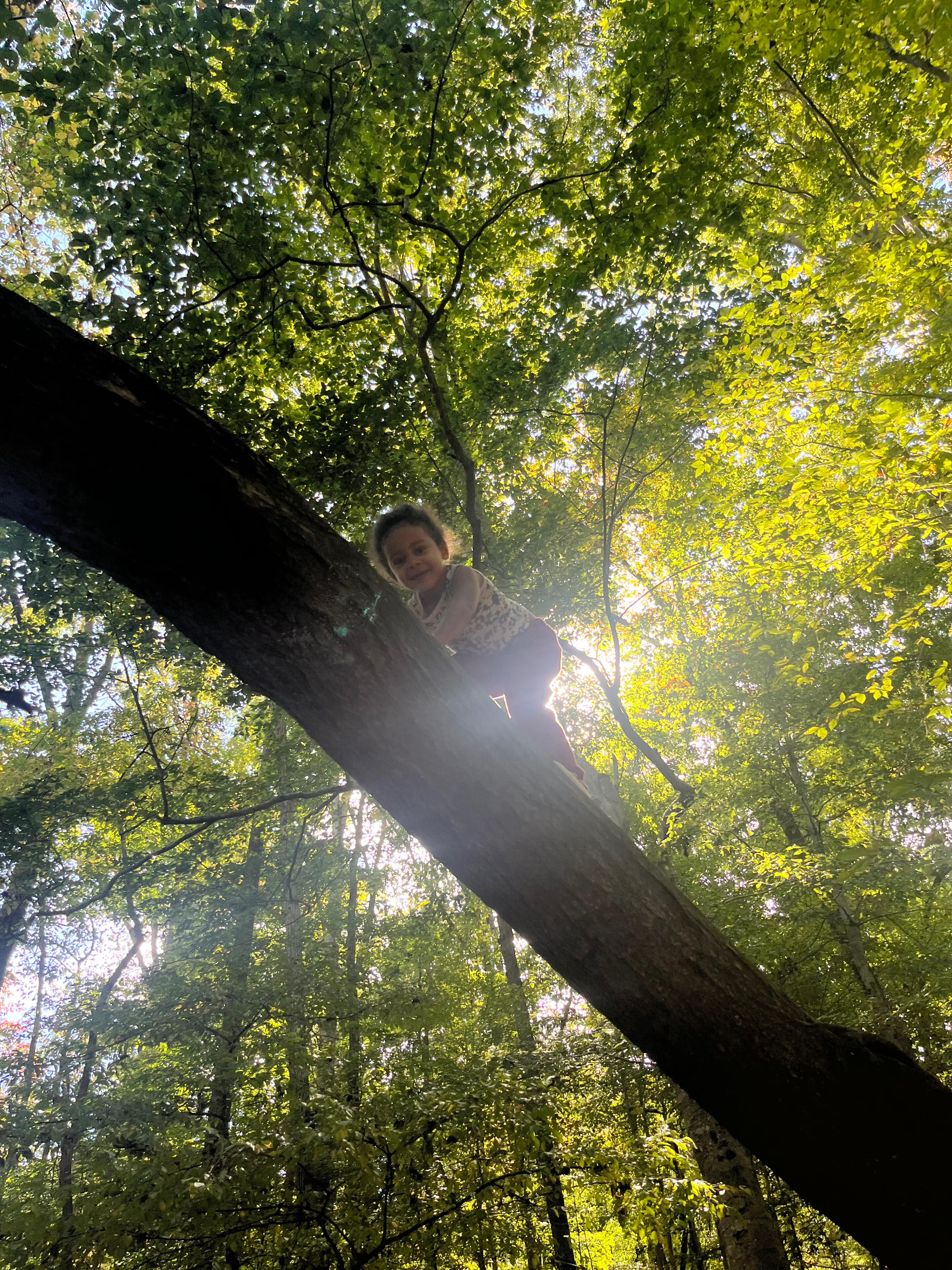 Climb kids
